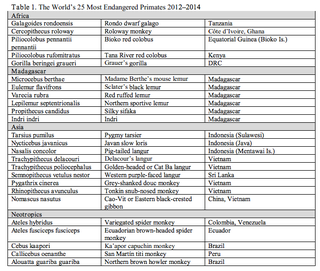 Illustration for article titled Conservationists announce the world's 25 most-endangered primates